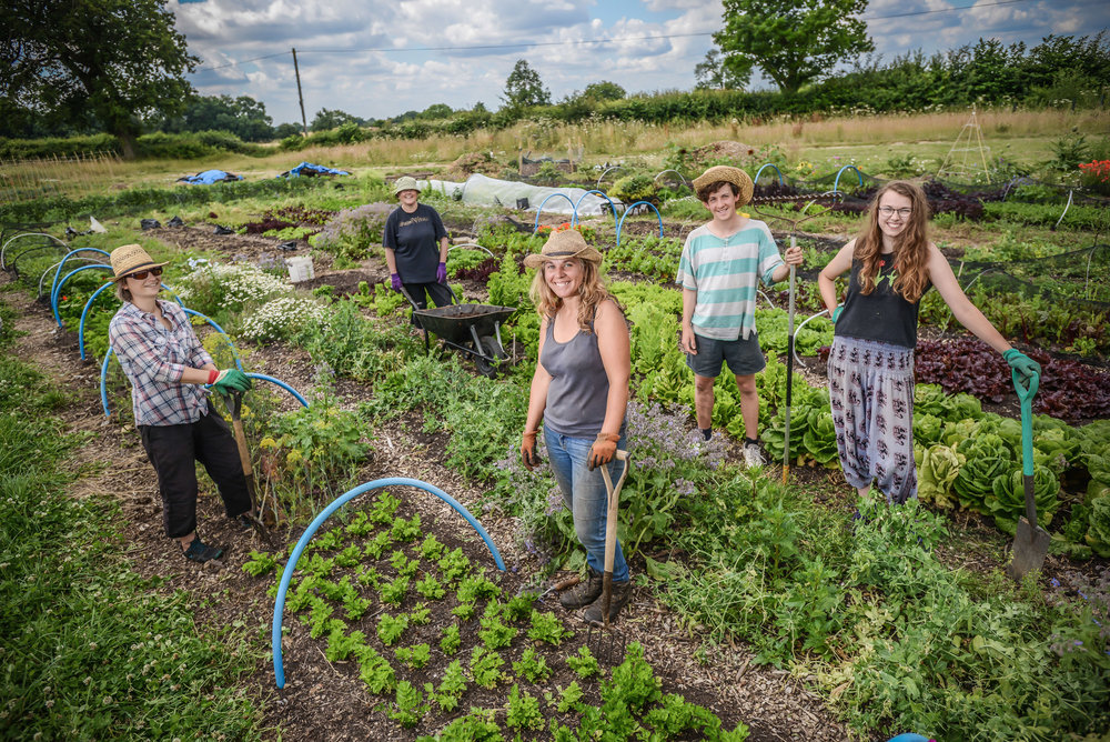 people smiling and growing veg