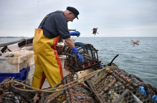 Crab fisherman John Lee hauls pots from his boat off the coast of Cromer in Norfolk. Photo: Joe Giddens/PA